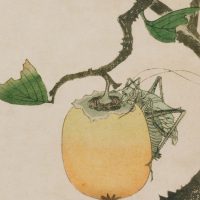 С гравюры японского художника Хисикава Сори III (Hishikawa Sori III; годы жизни: ок. 1798-1810). На картине изображен кузнечик, сидящий на хурме. 1807 год (Эта цветная ксилография хранится в петербургском Эрмитаже).