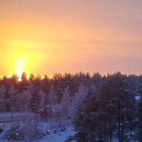 На иллюстрации с сайта финского радивещания Yle: Пейзаж финской Лапландии в разгар зимы в районе города Рованиеми.