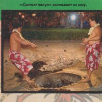 На иллюстрации из цитируемой статьи журнала: приготовленную «свинью калуа» вынимают на сетке из ямы «иму».